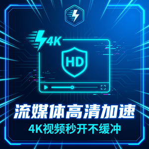 netpas加速器